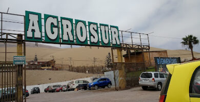 Terminal Agro Sur