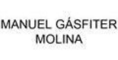 Manuel Gasfíter Molina