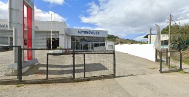 Importadora Comercial Chiloe
